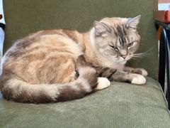 -雕刻时光·咖啡·酒吧·西餐(香山店)