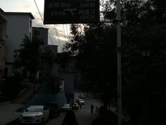 -鹏林天龙鸡杂