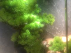 -阿伟海鲜楼·福建菜(延寿店)