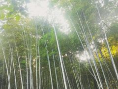 -杭州黄龙洞