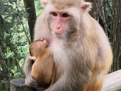 -重庆雨台山风景区