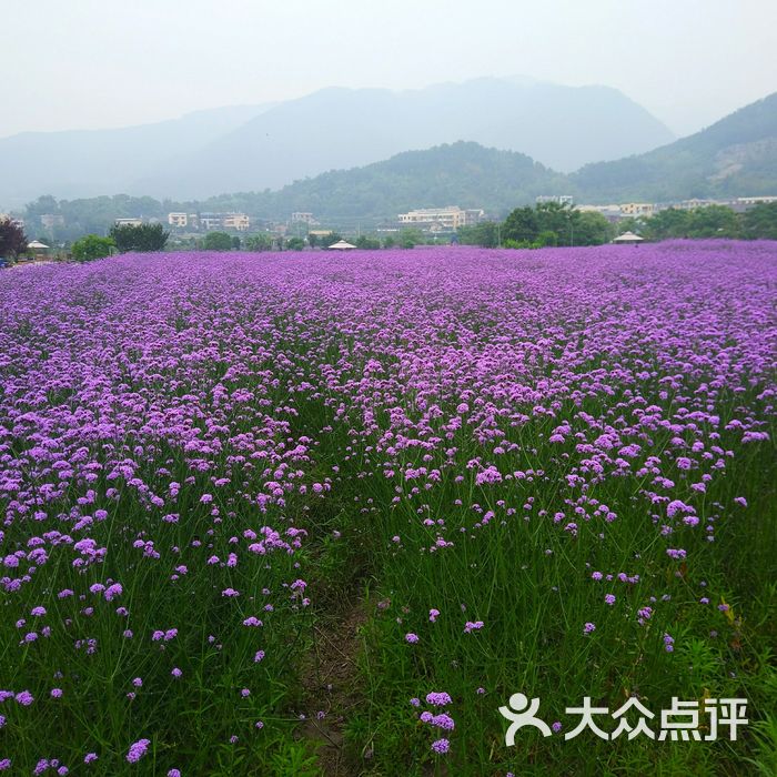 孔元生態園