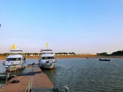 -大湾区中央湿地公园-十九涌