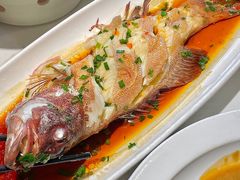 -阿毛饭店首店·宁波老字号(文化广场店)