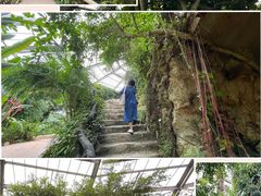 -中国科学院华南植物园