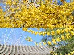 -月坛公园