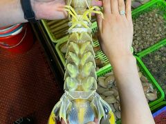 老字号餐厅-凯华海鲜火锅·传承三十六年