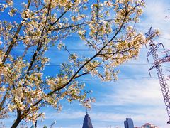 -西北湖绿化广场