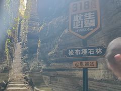 -梭布垭石林景区