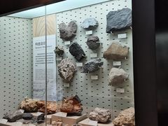 -浙江自然博物院(杭州馆)