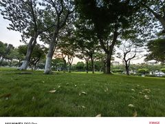 -日东公园