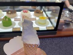 -野人先生Gelato(上海长宁龙之梦店)