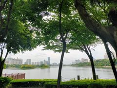 -南宁南湖公园