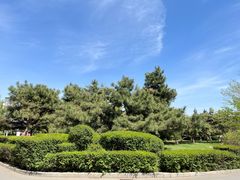 -长春公园(普阳街道)