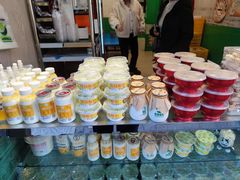 -德禄酸奶(莫家街店)