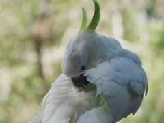 -普洱太阳河森林公园