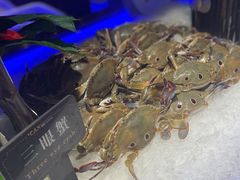 -加餐海鲜自助(宝龙一城店)