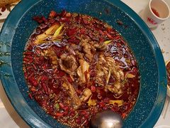 -渔香岛美蛙鱼头火锅(黔灵山公园店)
