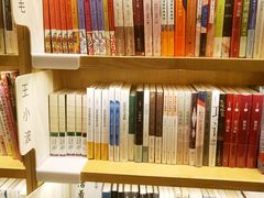 -猫的天空之城概念书店(丽江古城饮玉巷店)