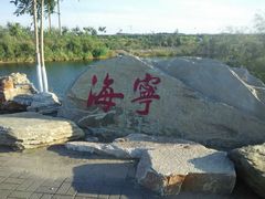 -大港湿地公园