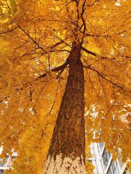 -陪我玩图书馆·烘焙坊·综合亲子馆