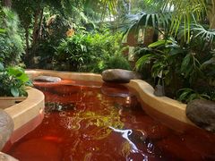 -稷泽·海丽宾雅温泉度假酒店