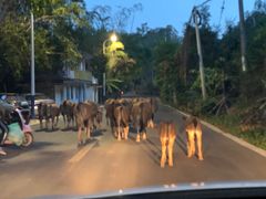 -一嗨租车(凤凰机场店)