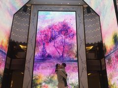 -上海苏宁宝丽嘉酒店·嘉府壹号中餐厅