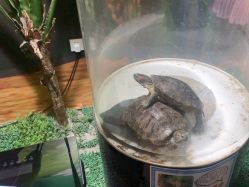 -酷嗒动物文化乐园(cutezoo西溪乐天城店)