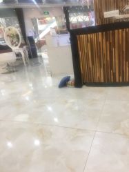 -阿玛仕