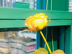 -Trend1881视光·蔡司视觉(领展广场店)