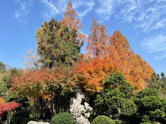 -杭州香格里拉·香宫中餐厅