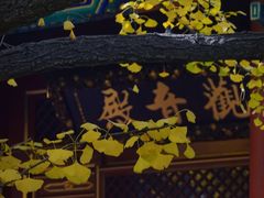 -八大处公园