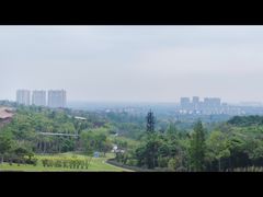 -成都保利公园皇冠假日酒店(熊猫基地店)