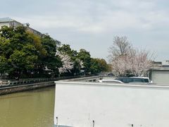 -川沙古镇-停车场