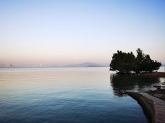 -深圳湾公园(南山区)