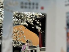 -灵谷景区