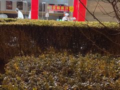 -金杨老摊头蛋饼(金口路店)