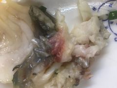 -鸽王世家(东华东路店)