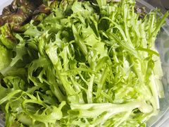 -七菜馆·东北菜·蒸饺(文体路店)