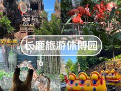 -长鹿旅游休博园