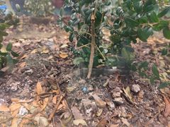 -上海昆虫博物馆