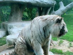 -北京野生动物园