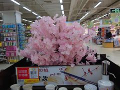 -永辉超市(百子湾店)