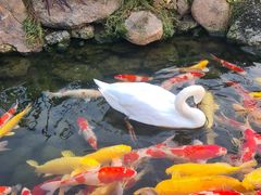 -罗红摄影艺术馆