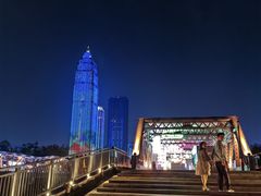 -武汉知音号