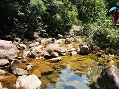 -广州白江湖森林公园