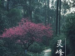 -杭州植物园