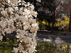 -国家植物园南园