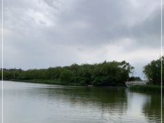 -大兴滨河森林公园